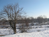 lurano